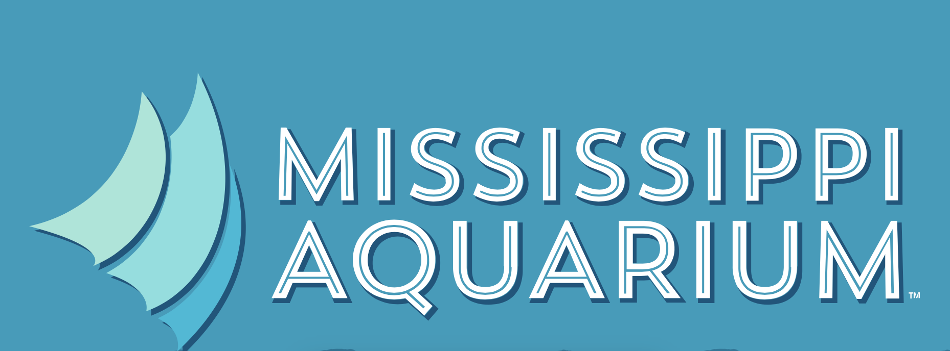 Internship with Mississippi Aquarium in Gulfport Ole Miss Journalism and IMC Jobs